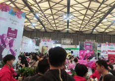 Kunming Colorful Gardening Co., Ltd., attracted many visitors with its colorful display.